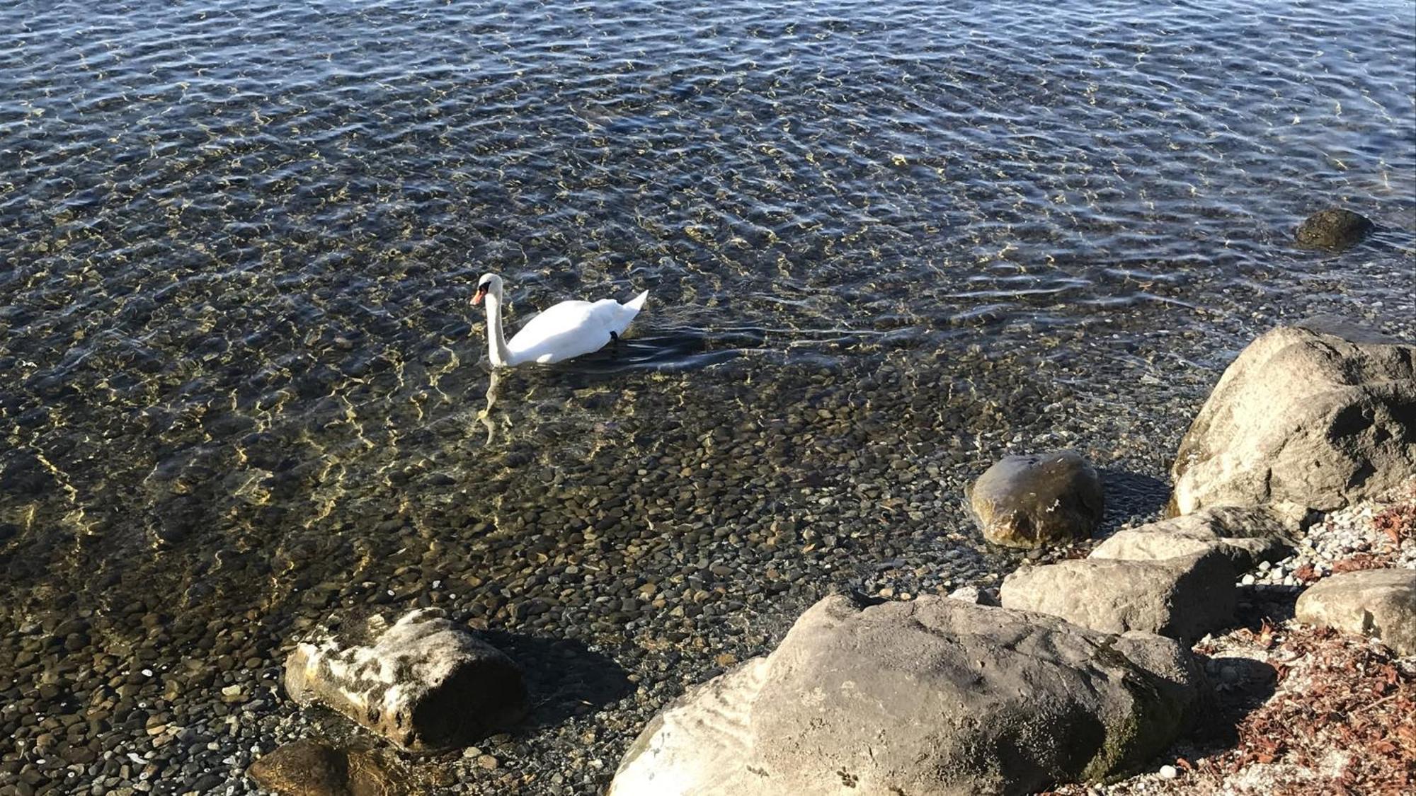 Maisonette Am See Nonnenhorn Εξωτερικό φωτογραφία