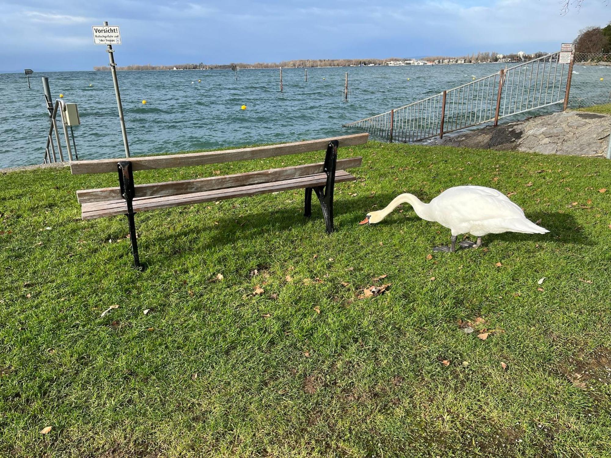 Maisonette Am See Nonnenhorn Εξωτερικό φωτογραφία